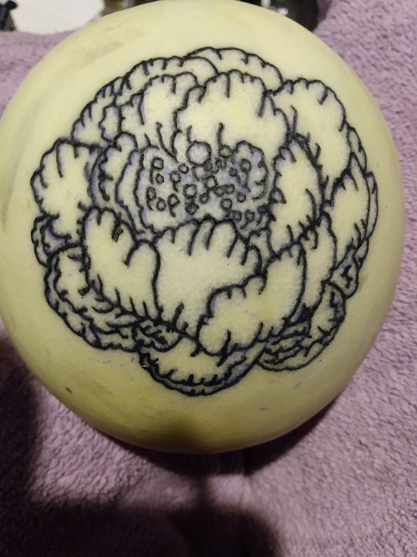 Lined Melon