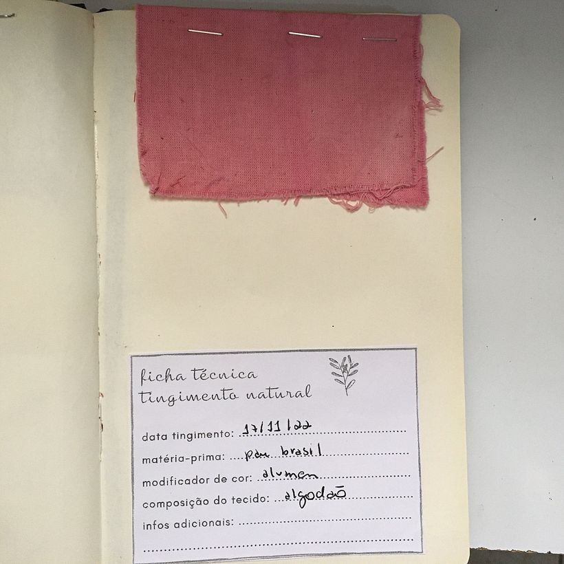 Meu projeto do curso: Tingimento têxtil com pigmentos naturais 3