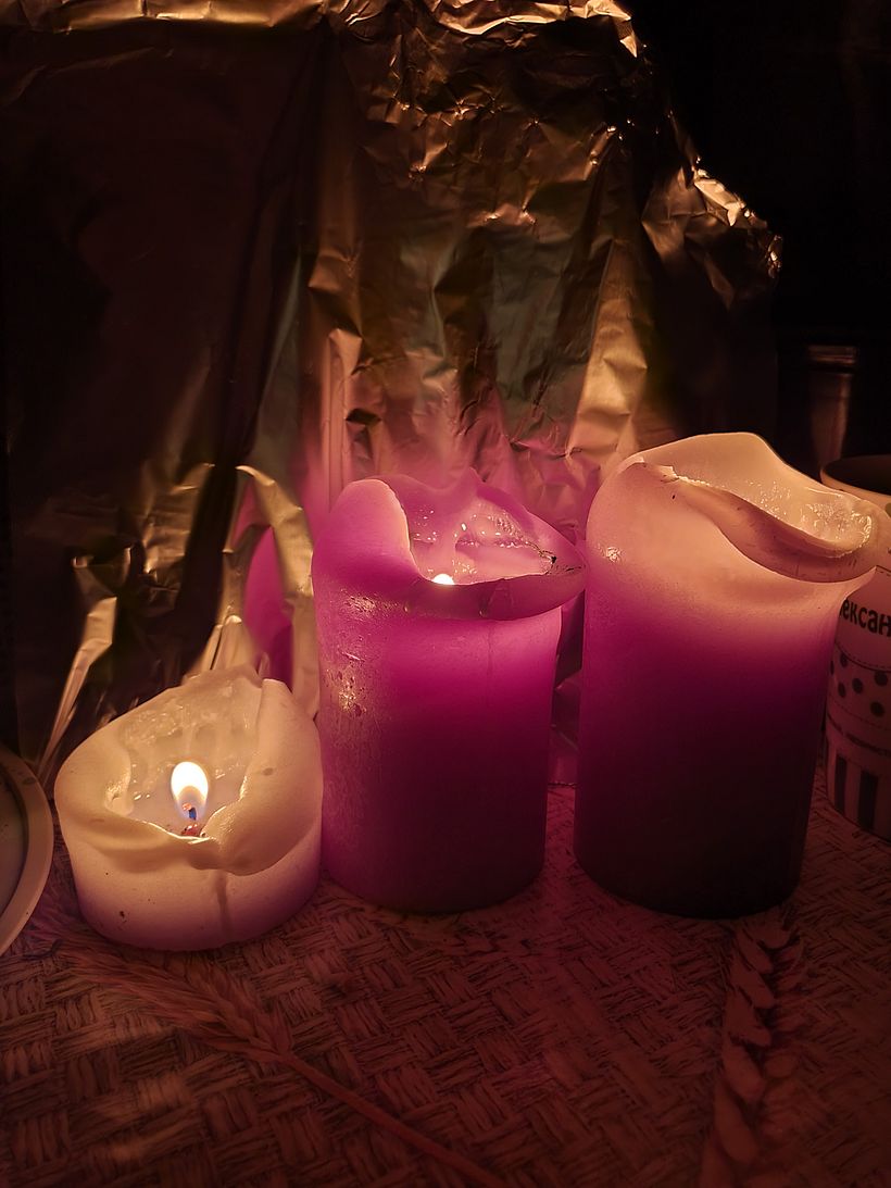 My project for course: Botanical Watercolor Painting of the Natural World 8