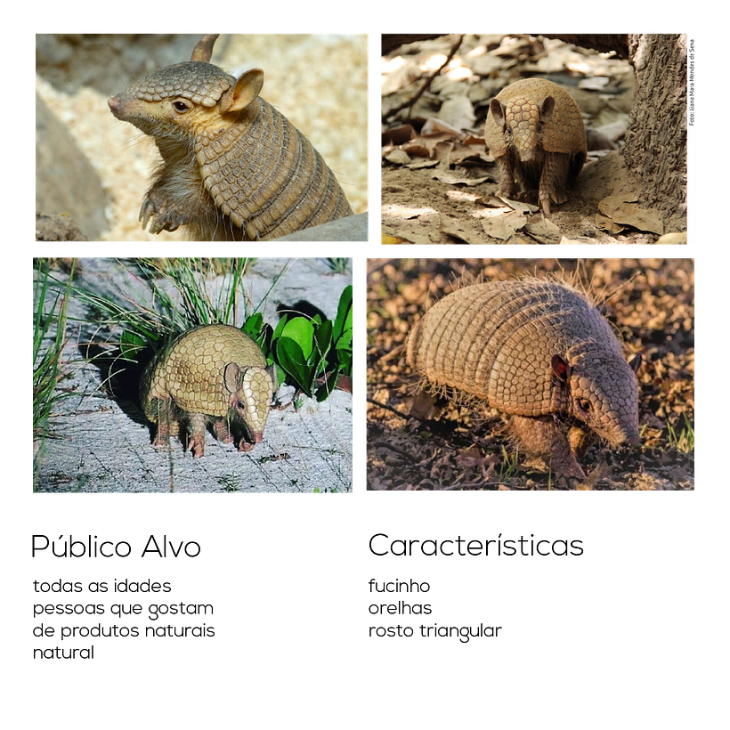 Meu projeto do curso: Design de logos: síntese gráfica e minimalismo 4