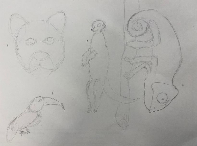 boceto animales 1