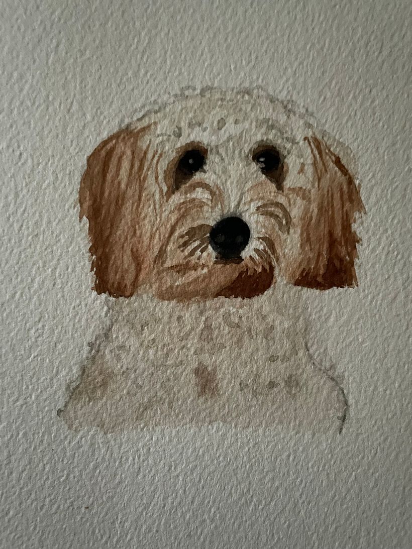 My project for course: Expressive Animal Portraits in Watercolor - Fin the dog 3