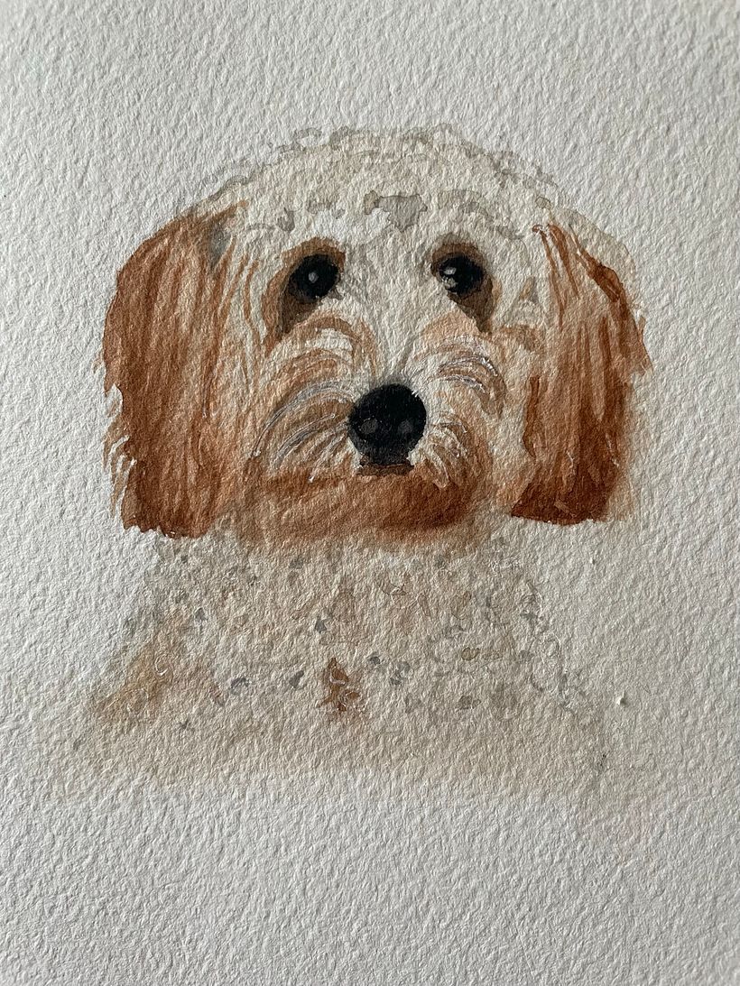 My project for course: Expressive Animal Portraits in Watercolor - Fin the dog 2