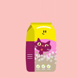 gif animation