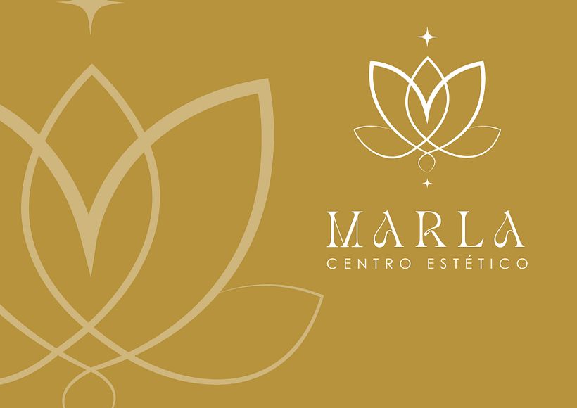 Mi proyecto del curso: Creación de un logotipo original desde cero 2