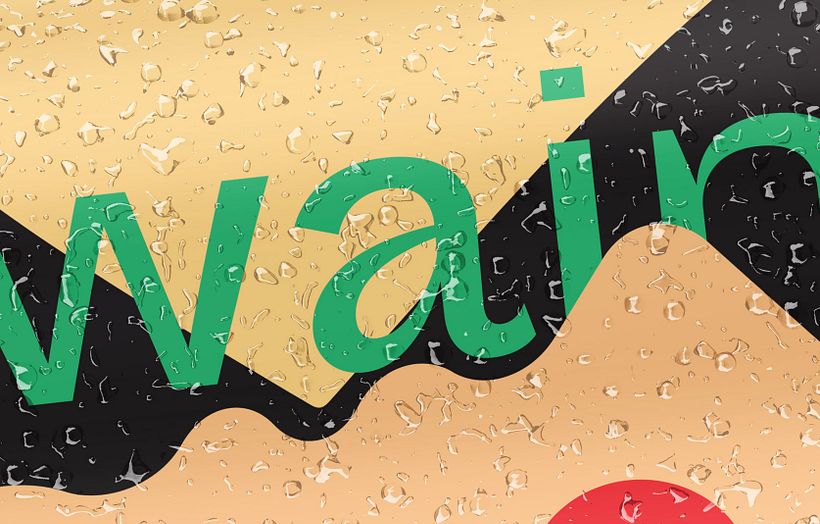 WAIN brand and package 2