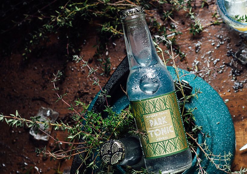 PARK TONIC identity, patterns and label 1