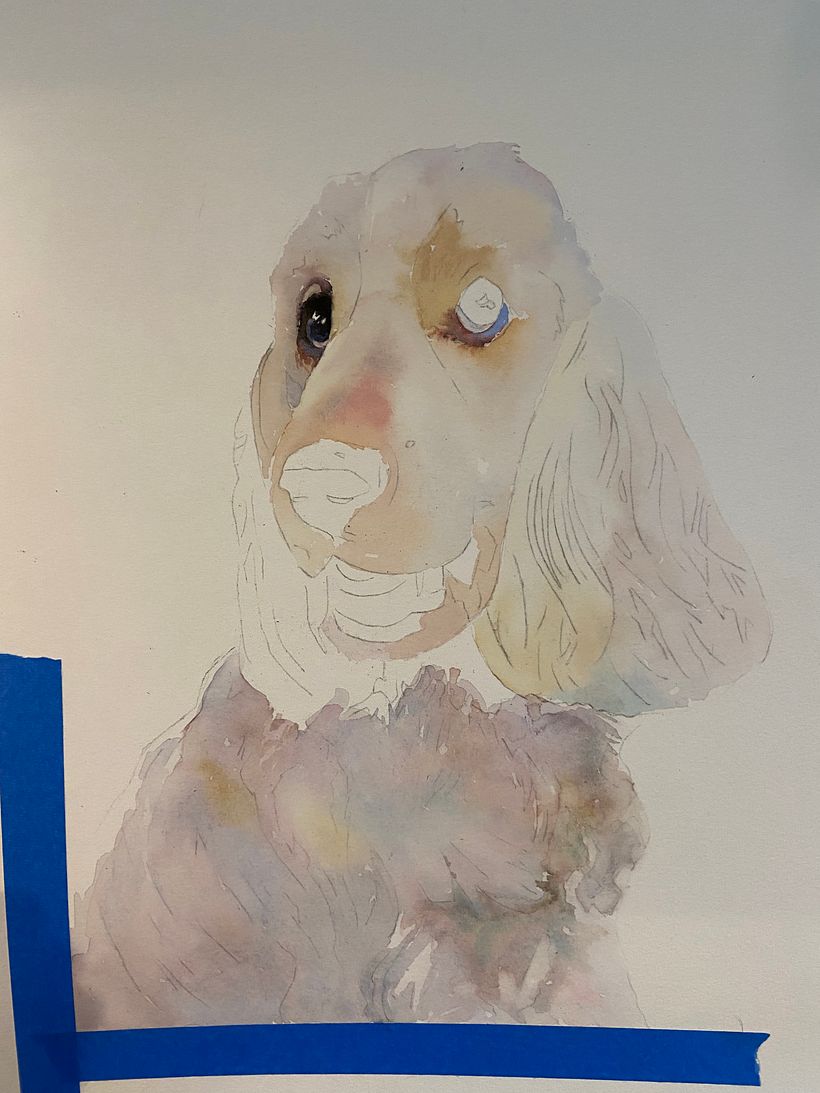 First pale washes in the body and eye finished