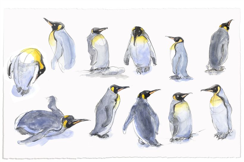 Watercolour the Natural World 19