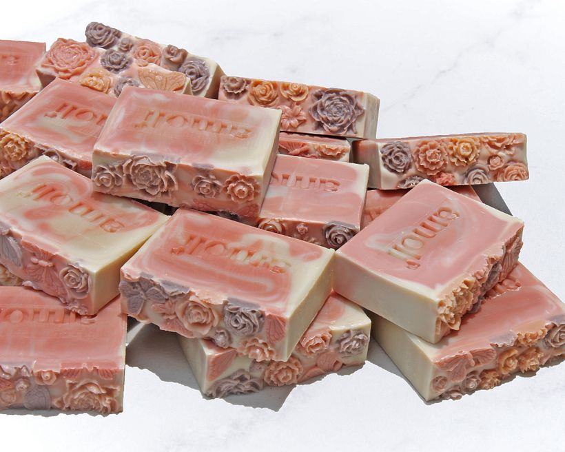 Proyecto Naturaleza 4