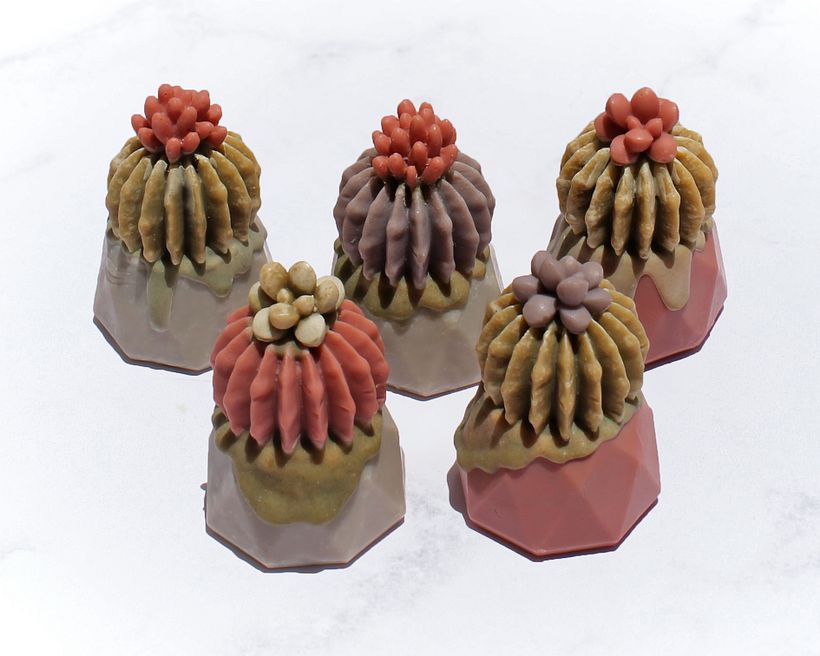 Proyecto Naturaleza 6