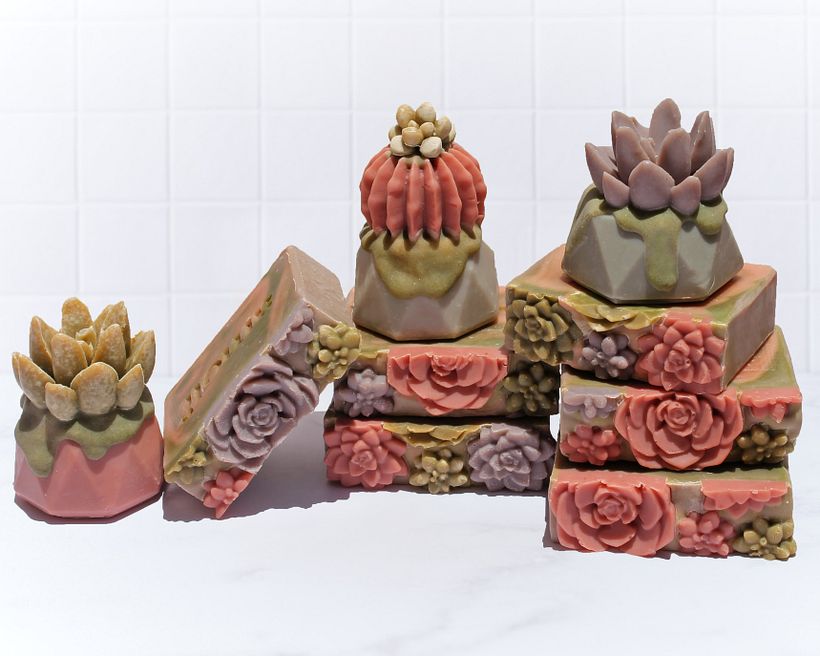 Proyecto Naturaleza 7