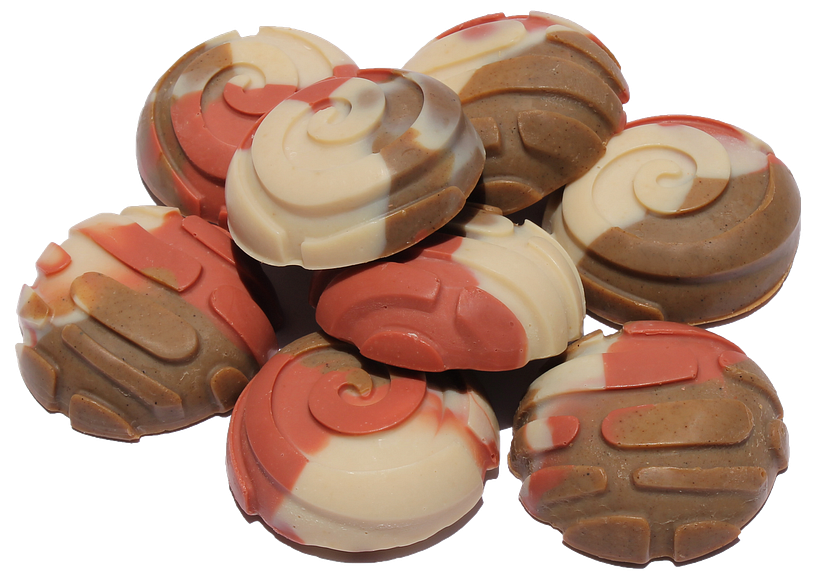 Proyecto Kerry Alimentos 6