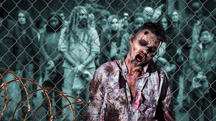 Meu projeto do curso: Motion design no After Effects: crie cinemagraphs envolventes 5