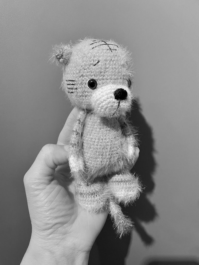 My project for course: Amigurumi Design: Create Crochet Characters 2