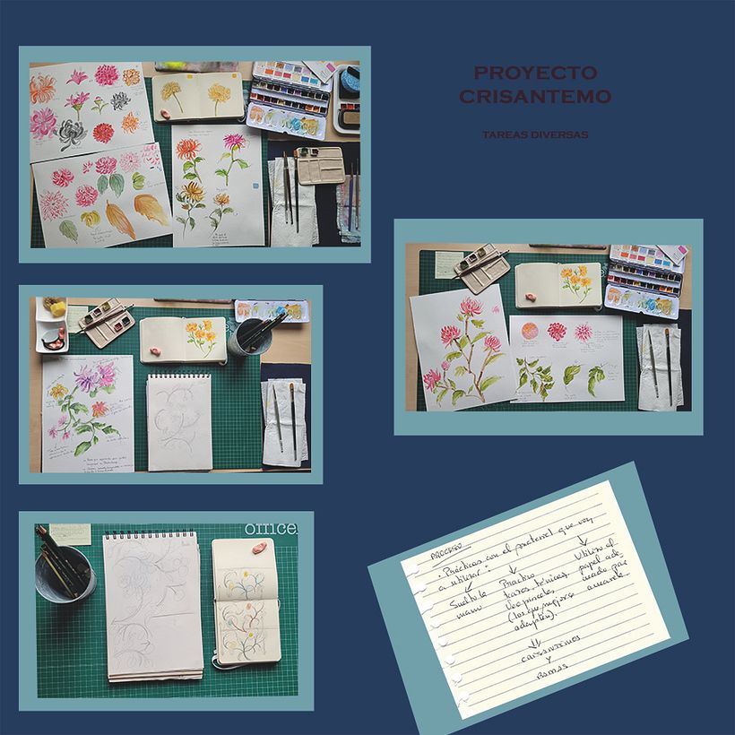 Muestra de las pinturas y diseños