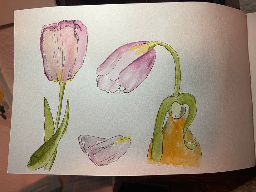 My project for course: Botanical Sketchbooking: A Meditative Approach 3