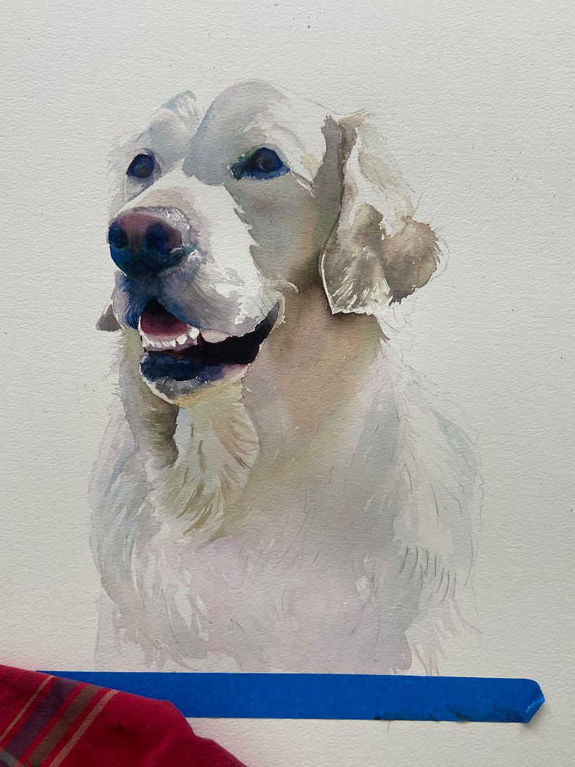 Then I added washes in both warm and cool shades