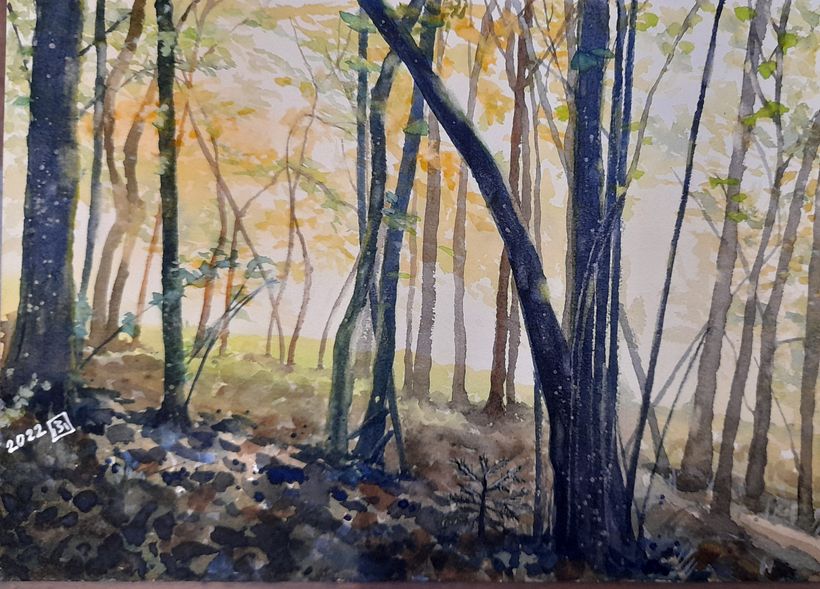 My project for course: Dreamy Watercolor Landscapes: Paint with Light 2