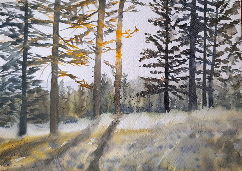 My project for course: Dreamy Watercolor Landscapes: Paint with Light 5