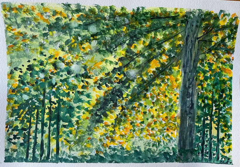 My project for course: Dreamy Watercolor Landscapes: Paint with Light 3