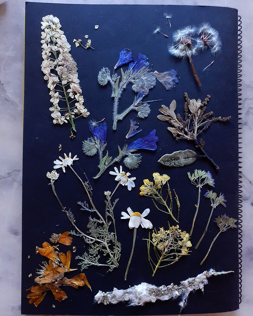 Some More Than Others, Making a Book 2