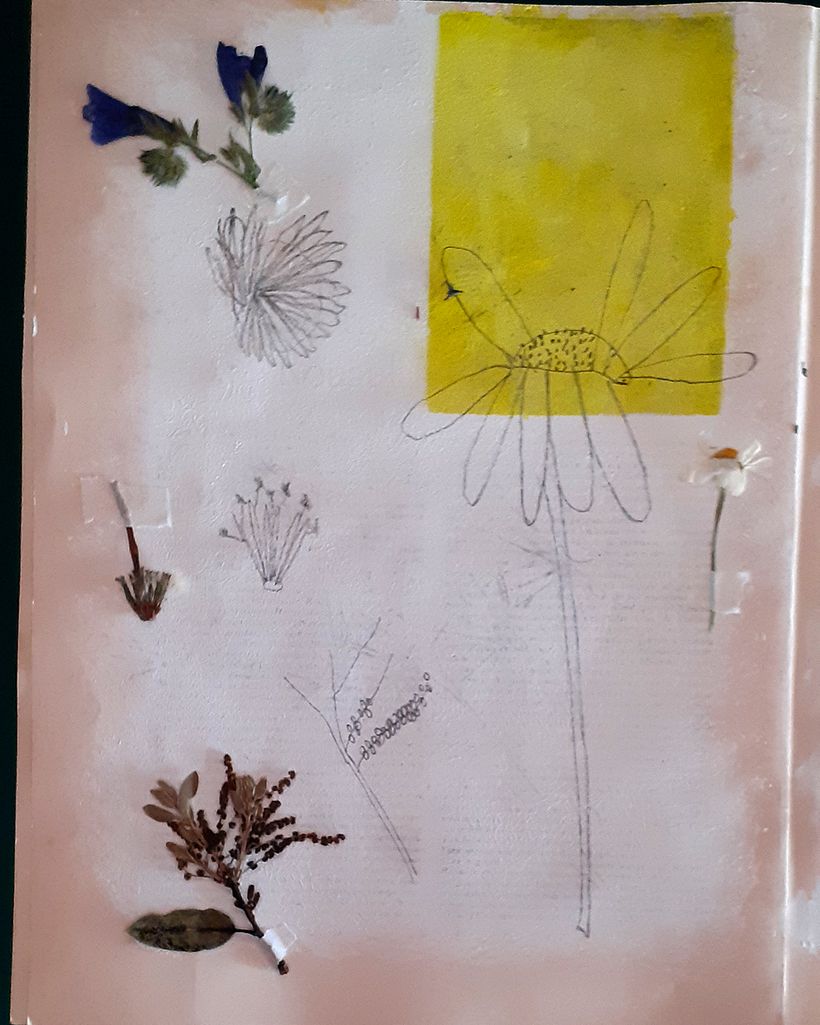 Some More Than Others, Making a Book 4