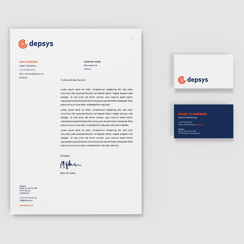 Depsys Brand Strategy And Brand Identity Design 8