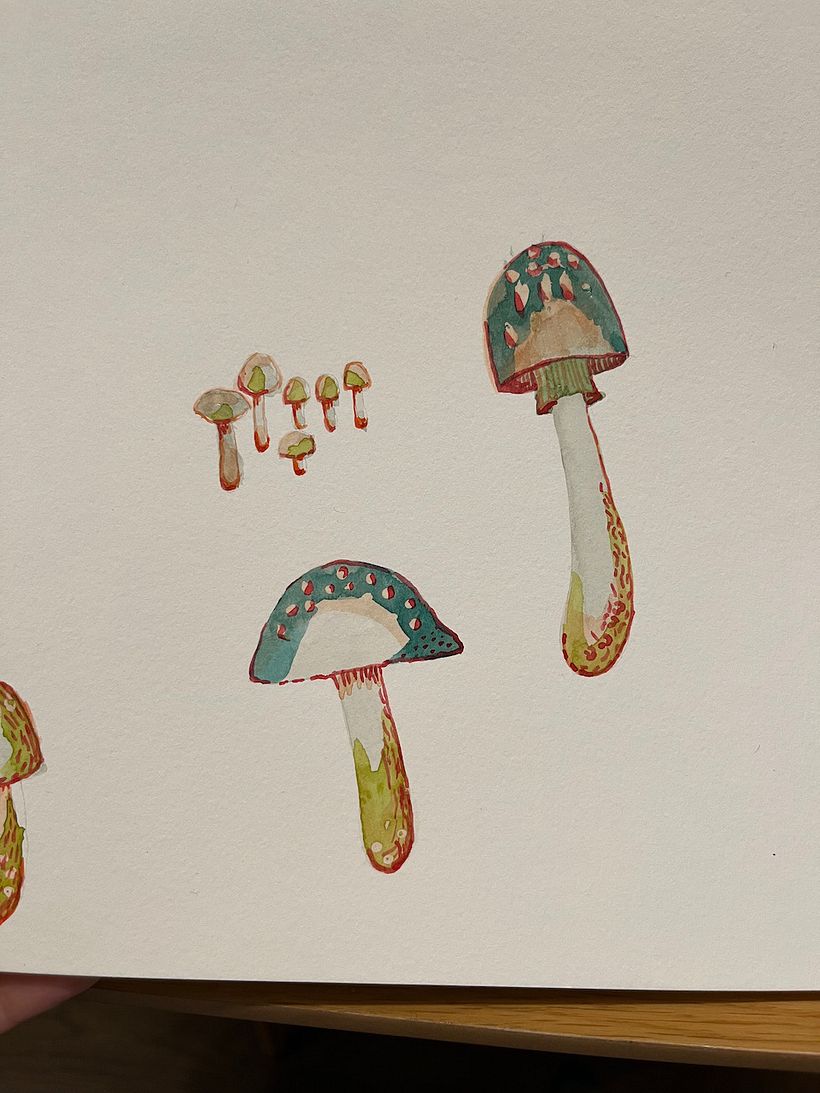 Mushroom watercolor test