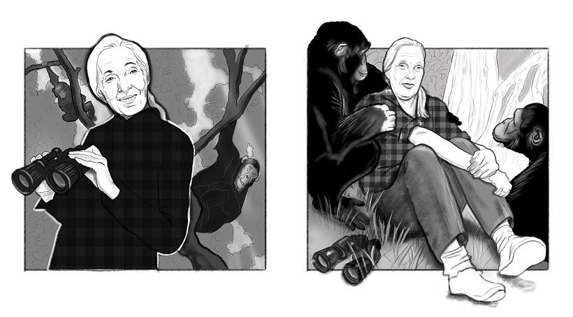 Two sketch options presented to the client for the RAND calendar