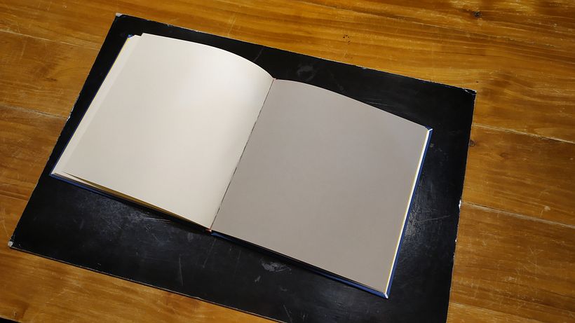 Gli ultimi 4 fogli sono di colore grigio