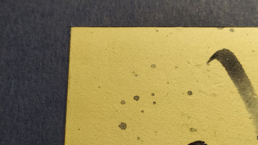 Dettaglio della copertina iniziale