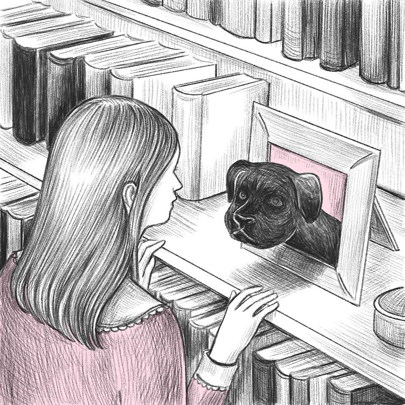 Animated illustration for The Washington Post 5