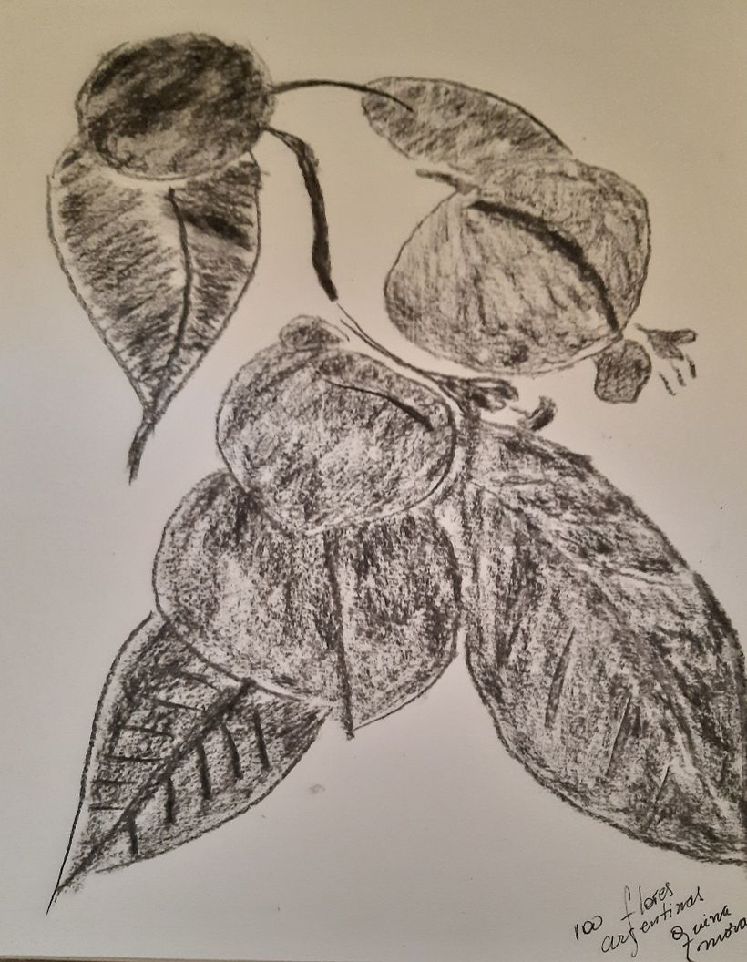 Quina Morada del Libro 100 Flores Argentinas