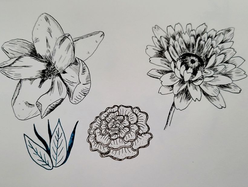 some flower sketches to practise using pen and ink