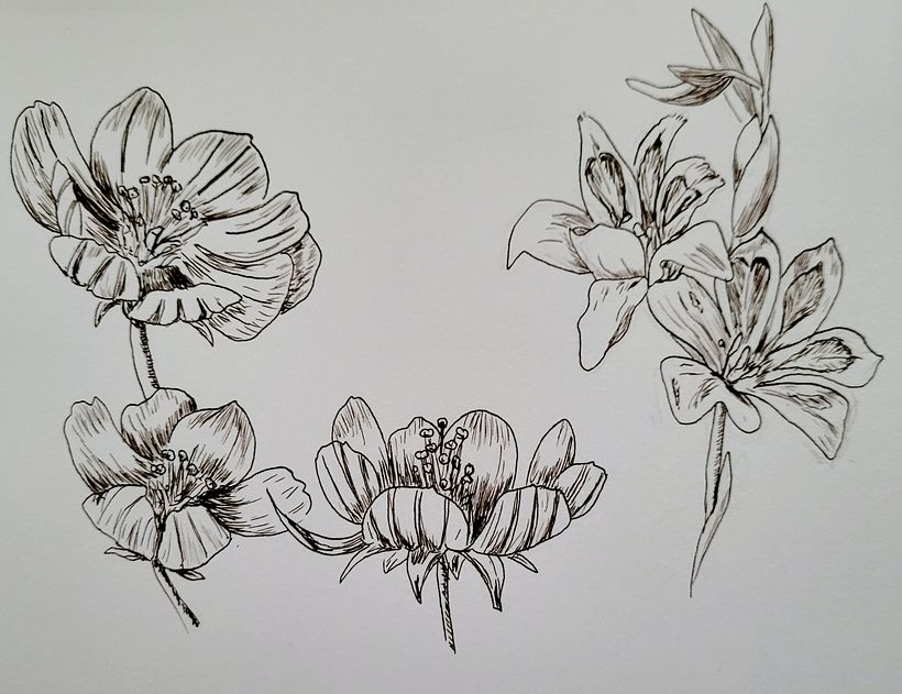 some more flowers