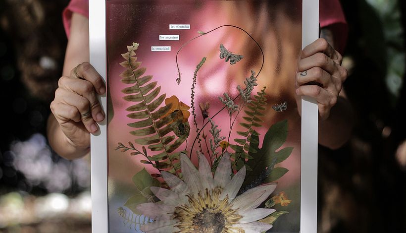 Atrévete a dar rienda suelta a tu imaginación creando cuadros con plantas planas y volumen. 