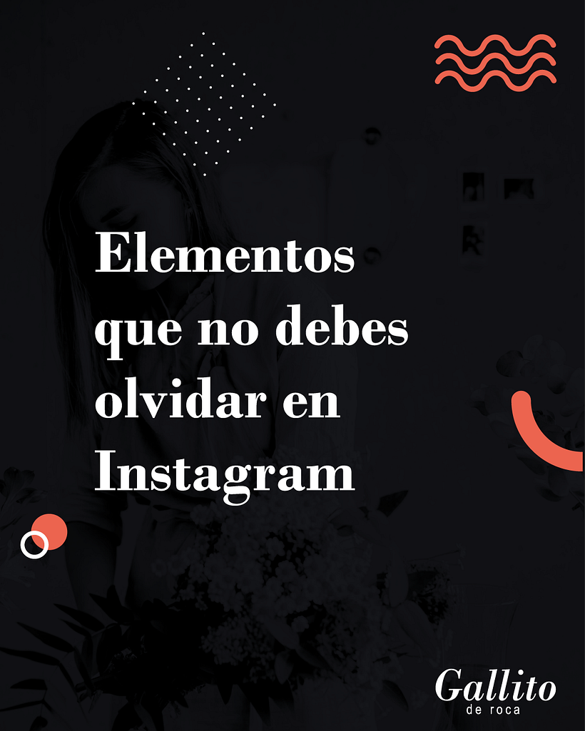 Contenido de valor