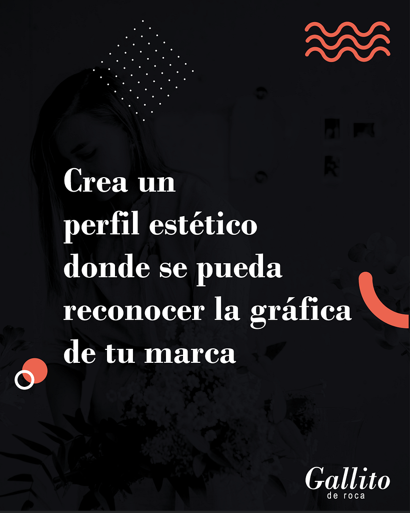 Proyecto Gallito de Roca: Estrategias de Instagram para desarrollo de marcas 4