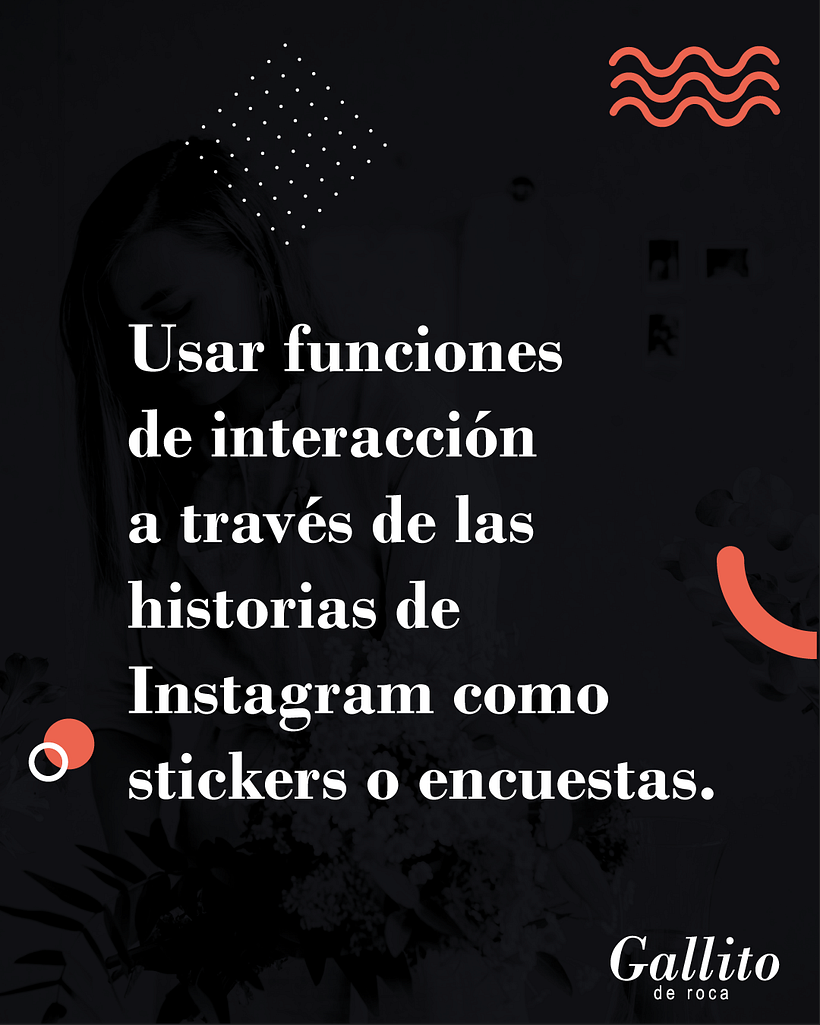 Proyecto Gallito de Roca: Estrategias de Instagram para desarrollo de marcas 6