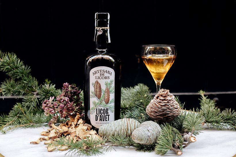 Watercolor Walnut and Fir for Liquor Labels 7