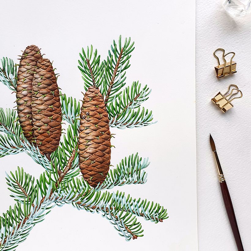 Watercolor Walnut and Fir for Liquor Labels 3