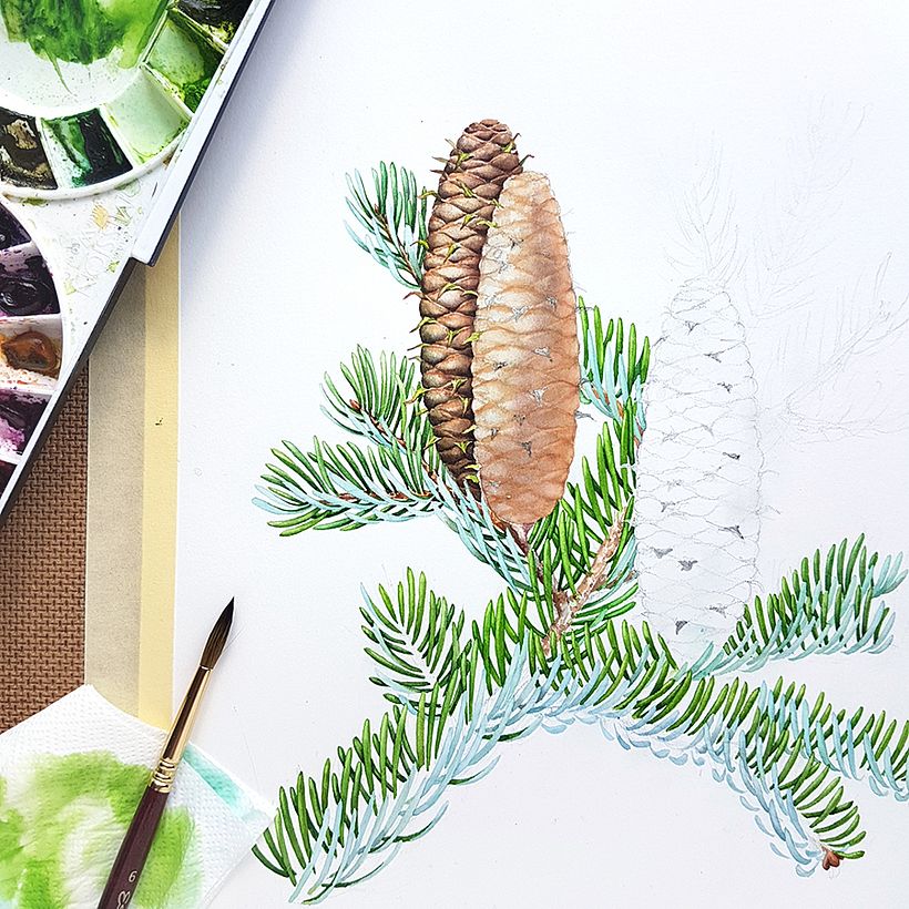 Watercolor Walnut and Fir for Liquor Labels 2