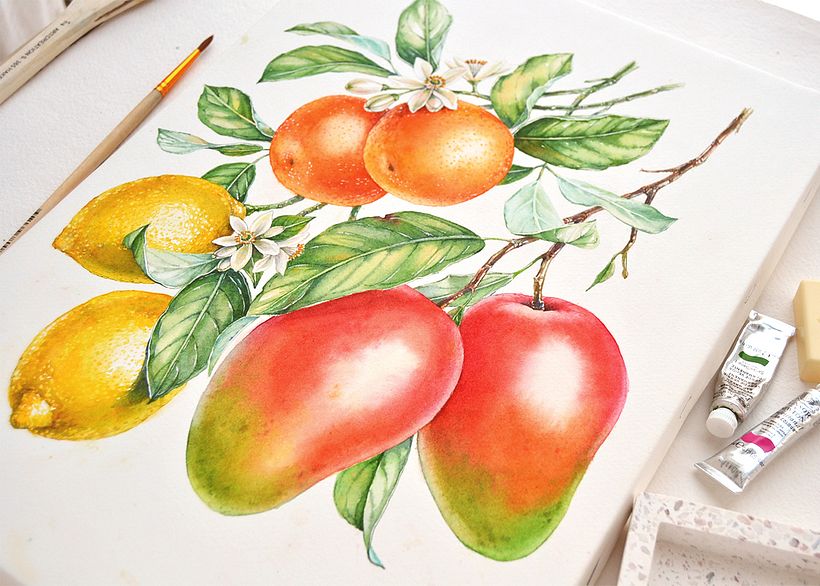 Watercolor Florals and Fruits for Monarte 7