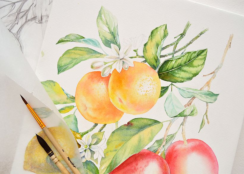 Watercolor Florals and Fruits for Monarte 6