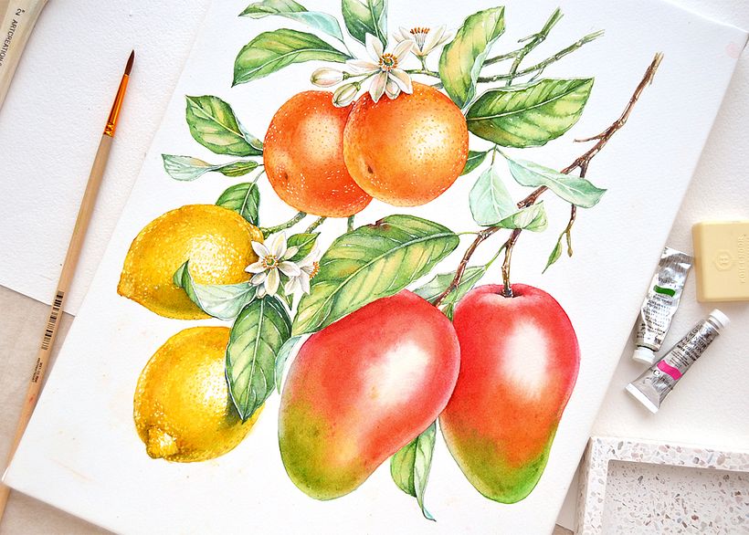 Watercolor Florals and Fruits for Monarte 8