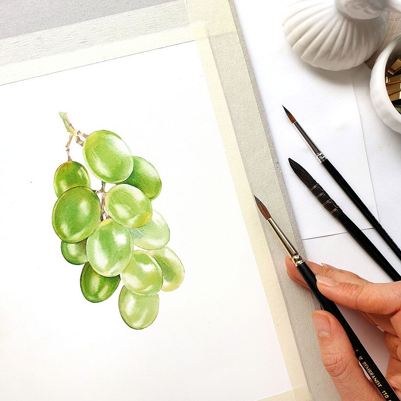 Mozell Rips - watercolor botanical illustrations for packaging 2