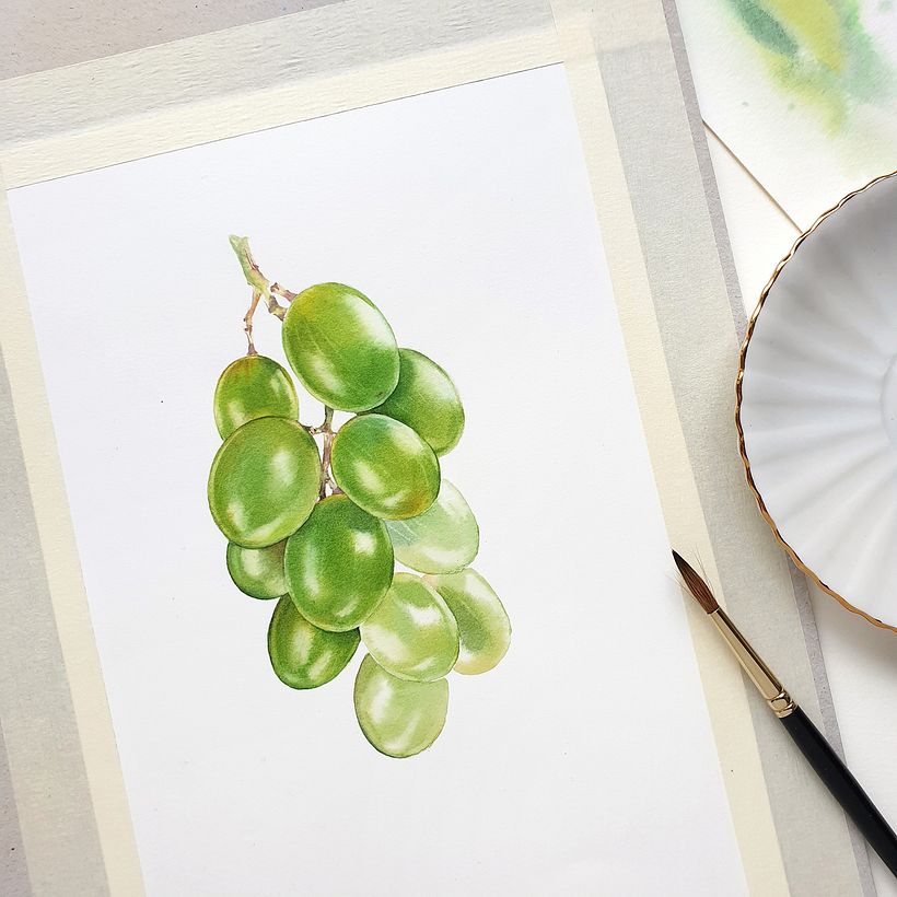 Mozell Rips - watercolor botanical illustrations for packaging 3