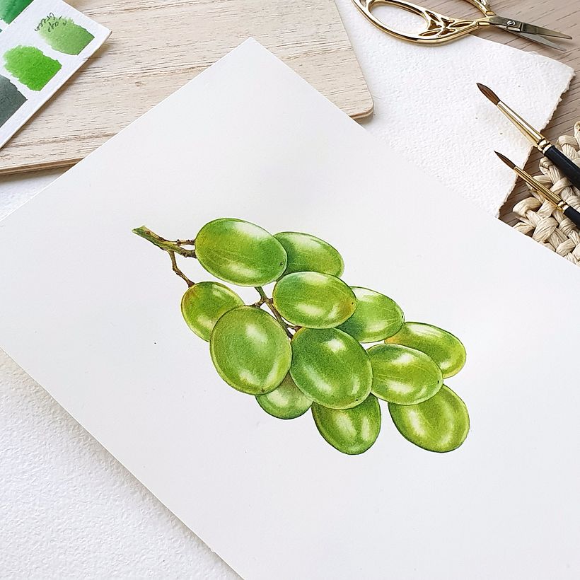 Mozell Rips - watercolor botanical illustrations for packaging 4