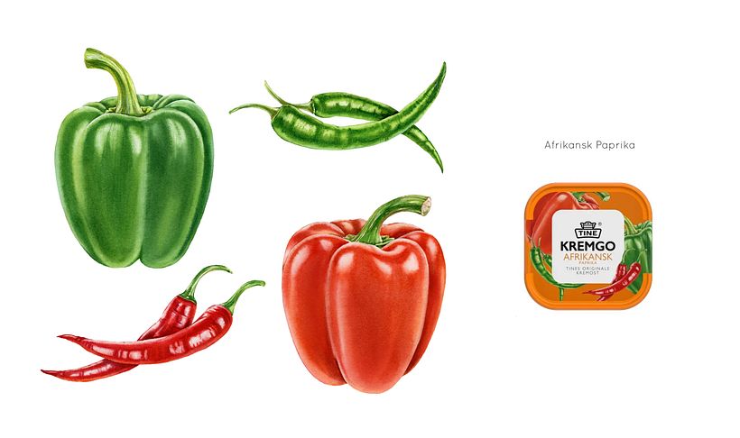  TINE KremGo. Watercolor illustrations for packaging 6